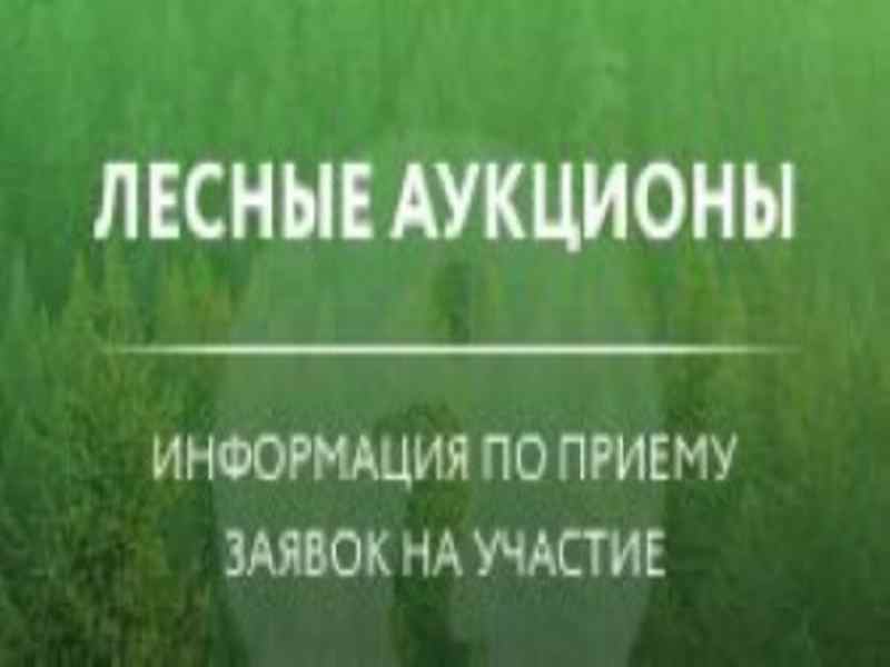 Информация об аукционах на право заключения договоров купли-продажи лесных насаждений в электронной форме.