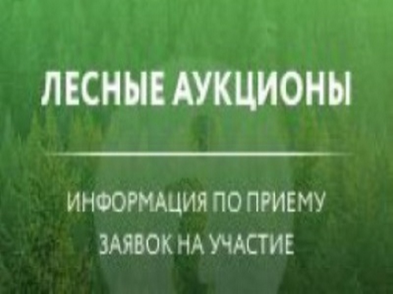 Информация об аукционах на право заключения договоров купли-продажи лесных насаждений в электронной форме.